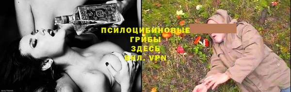 мяу мяу мука Алексеевка