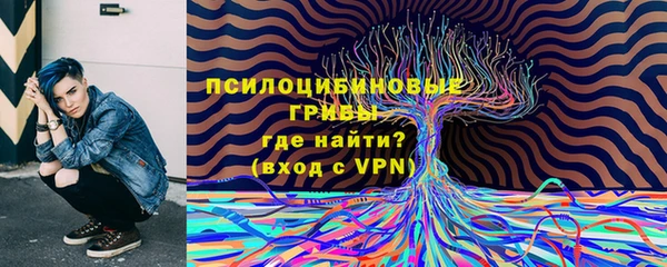 мяу мяу мука Алексеевка