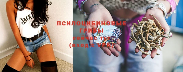 дмт Алексин