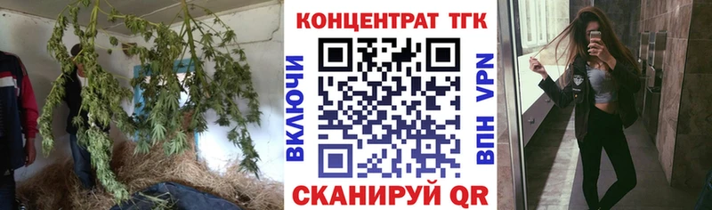 цена   Пикалёво  ТГК концентрат 