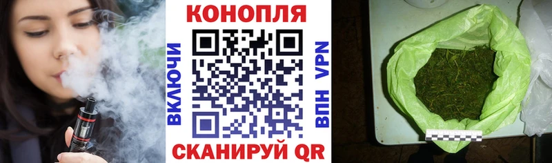 Конопля гибрид  мега ссылка  Пикалёво 